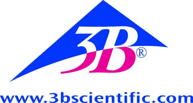 Bild: 3B Scientific goes South Korea