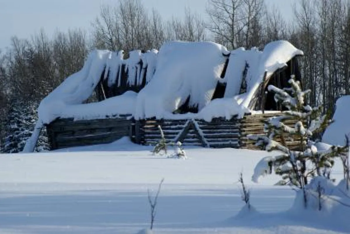 Untragbare Lasten richtig versichern