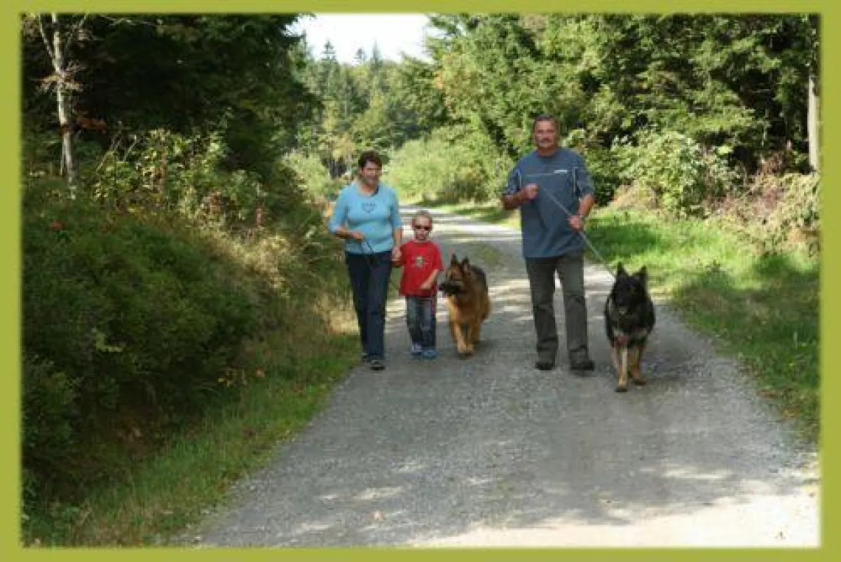 40 Jahre Nationalpark Bayerischer Wald