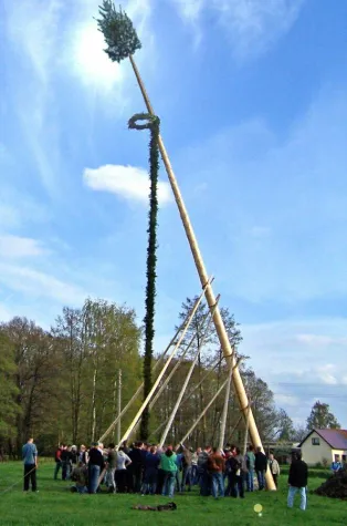 Vorsicht Maibaum Bild: Vorsicht Maibaum