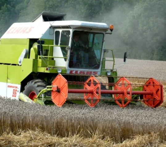 Bild: Getreideernte 2008 übertrifft Erwartungen