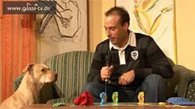 Bild: Anti-Depressiva für den Hund...