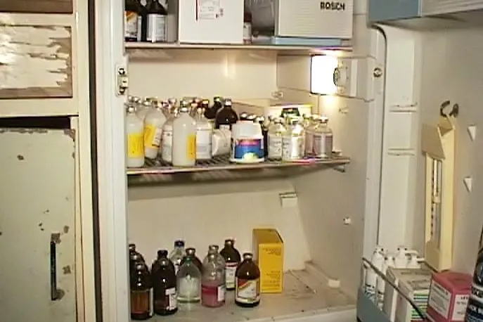 Bild: Aktion Tier e.V. deckt umfangreichen Einsatz von Antibiotika in der industriellen Massentierhaltung auf