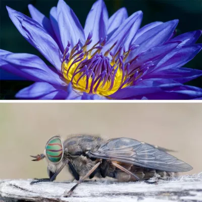 Bild: Für alle, die nicht viel Zeit haben: 4-stündiges Kurz-Fotoseminar „Makrofotografie“ in Erlangen