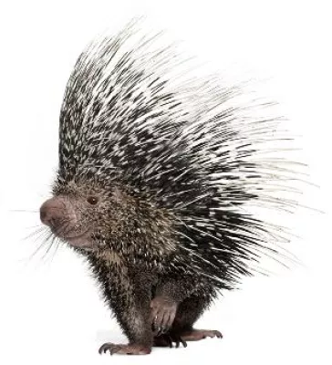 Bild: EgoSecure und Bitdefender – zwei Spezialisten kämpfen gemeinsam gegen Datenverluste