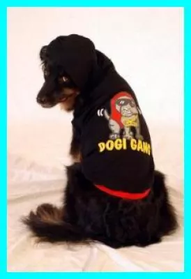 Bild: Hundeschule, Beschäftigung und Freizeit - ein Hundeleben voller Spaß