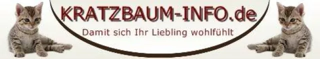 Bild: Brauchen Katzen einen Kratzbaum?