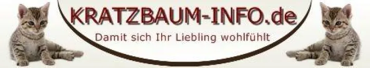 Bild: Brauchen Katzen einen Kratzbaum?