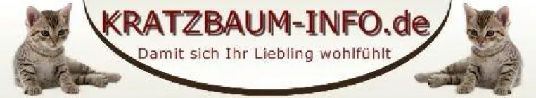 Bild: Brauchen Katzen einen Kratzbaum?