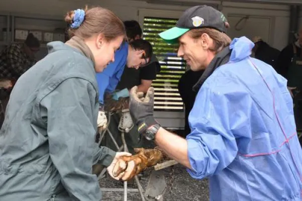 Die Klauen tragen die Milch – AVA-Workshops zur Klauengesundheit Bild: Die Klauen tragen die Milch – AVA-Workshops zur Klauengesundheit