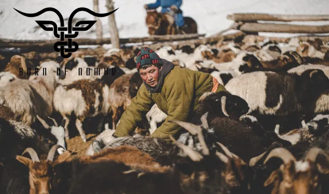 Bild:  Born of Nomad – Für die Zukunft der Nomaden und den Erhalt ihrer Lebensweise