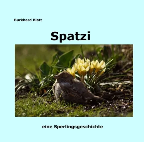 Bild: Spatzi - Ein Sperling wird erwachsen