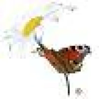 Bild: Deutsche Seniorenbetreuung Südwest - Umzug in die Heilbronner Innenstadt