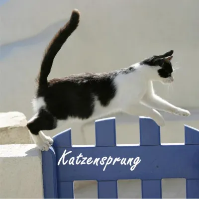 Bild: Bildband \"Katzensprung\"