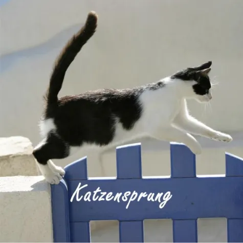 Bild: Bildband \"Katzensprung\"