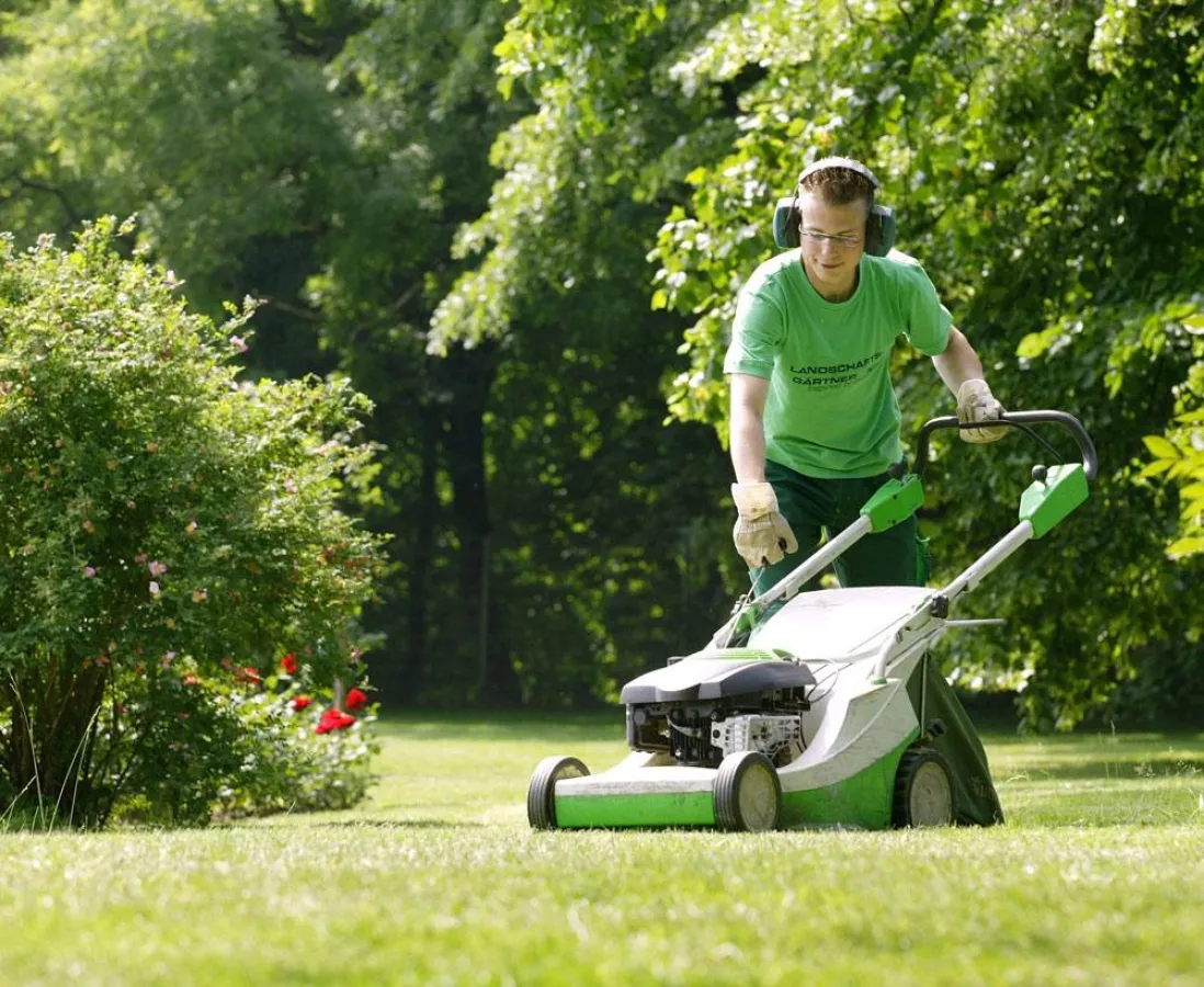 Im März sollte man das Pflegeprogramm für den Rasen starten. Foto: BGL / immowelt.de