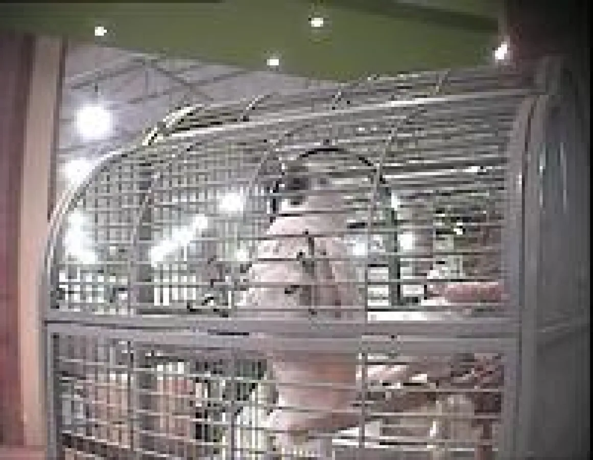 Deutscher-Tierhilfe-Verband überprüfte 20 Tierhandlungen in Hamburg