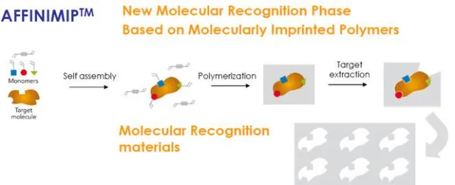 Bild: Gilson und Polyintell schließen Vertriebsvereinbarung für die Distribution von Molecularly Imprinted Polymers