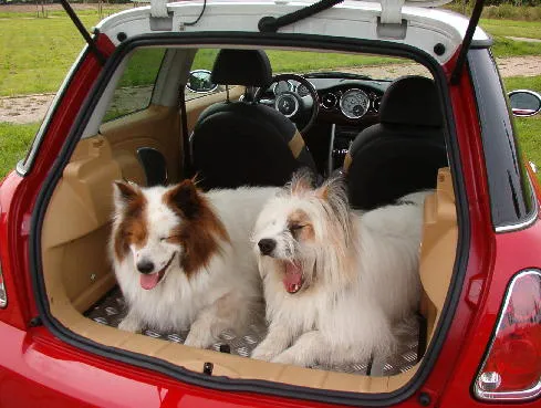 Bild: Der MINI-Kombi im Lifestyle-Trend