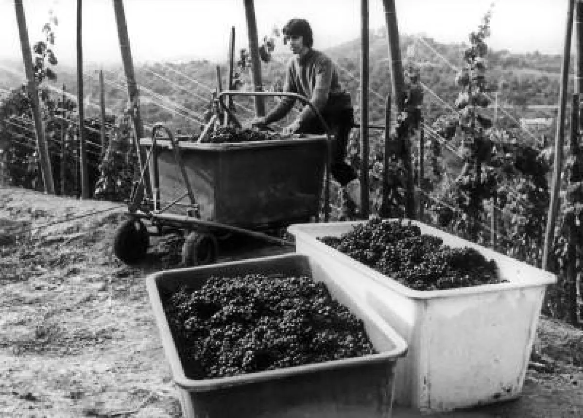 Am Anfang standen Produkte für die Landwirtschaft, innovative Behälter für den Weinbau