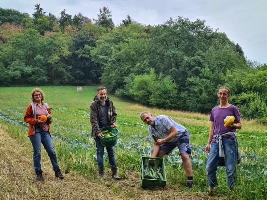 Bild: Rebional startet Pilotprojekt: Eigener Gemüseanbau in Bioland-Qualität