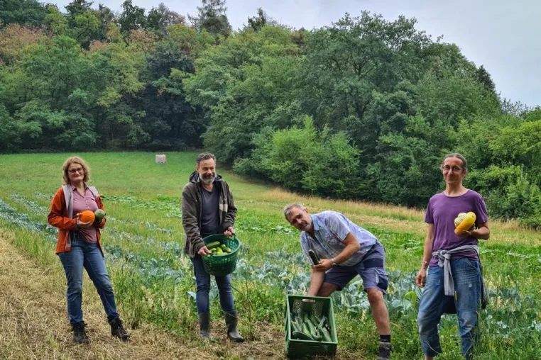 Rebional startet Pilotprojekt: Eigener Gemüseanbau in Bioland-Qualität Bild: Rebional startet Pilotprojekt: Eigener Gemüseanbau in Bioland-Qualität