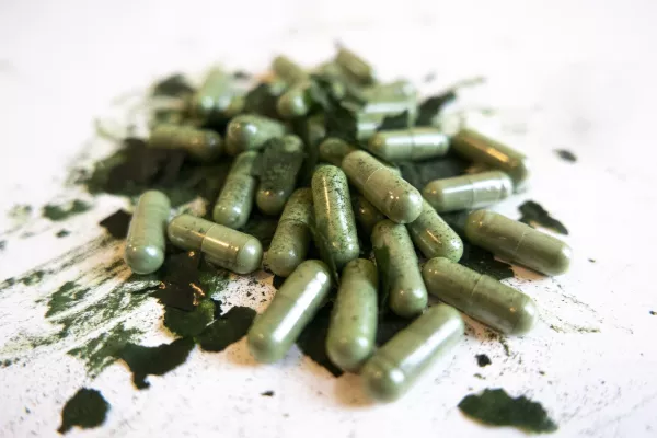 Bild: Marine Phytoplankton - Superfood des Meeres