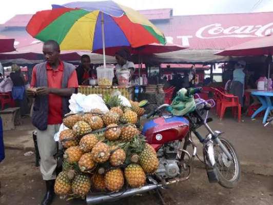 Bild: Karawane Reisen unterstützt Stay Stiftung