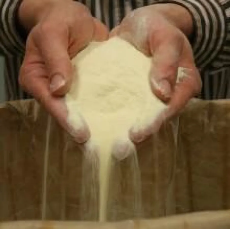 Hohe Rohfasergehalte und ausreichende Energieversorgung sichern!