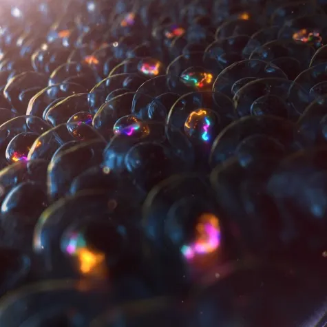 Taking screening methods to the next level Bild: Taking screening methods to the next level