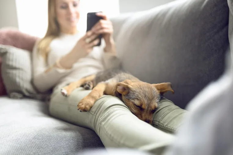 Bild: Home Smart Home