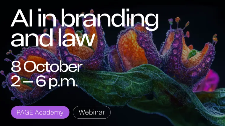 Bild: Peter Schmidt Group gibt KI-Webinar bei der PAGE Academy