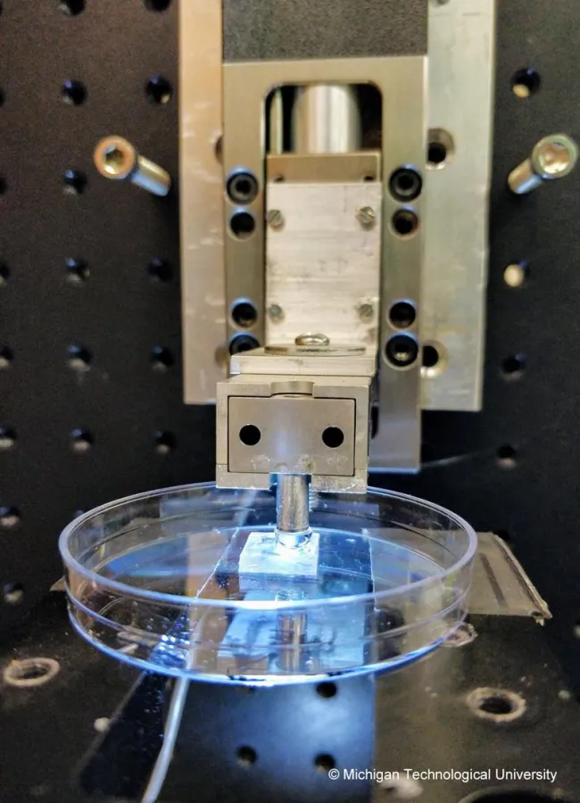 Der Testaufbau der Wissenschaftler ohne Elektrode. Foto: © Michigan Technological University