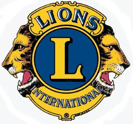 Bild: Lions Club Pirna und Leo Club Pirna gemeinsam auf der Pirnaer Hofnacht am 02.08.2008