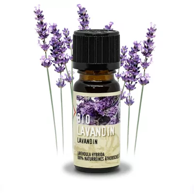 Bild: Ätherisches Lavendelöl aus biologischer Herstellung