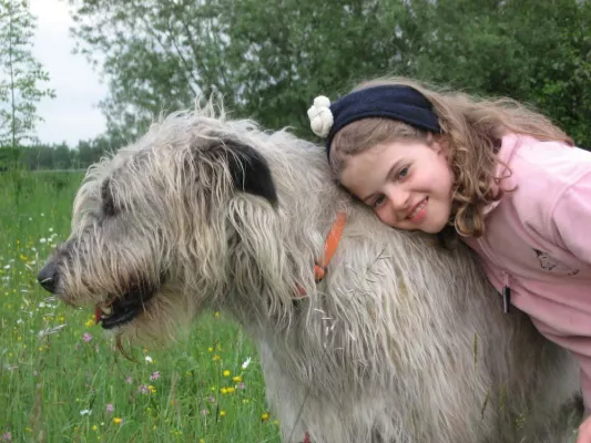 Bild: Fortbildung zum Fachberater Tiergestützte Interaktion - Termine 2009 jetzt online