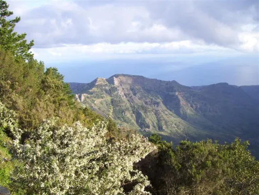 Bild: Sonne tanken auf La Gomera