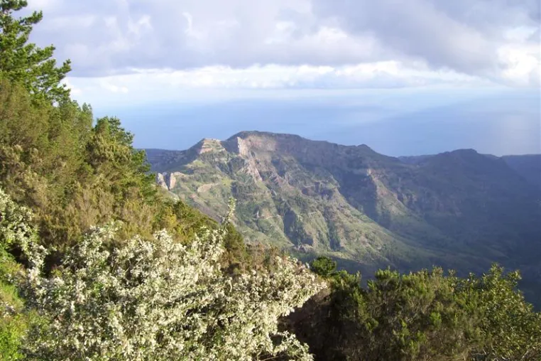 Bild: Sonne tanken auf La Gomera