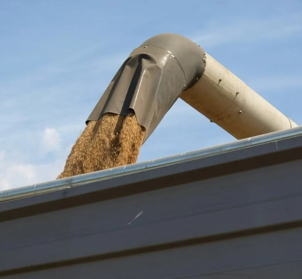 Weizenernte (Foto: Proplanta)