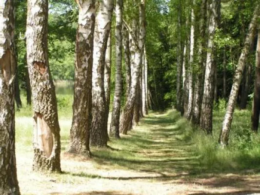 Bild: 20 Jahre Initiative Jugendarbeit Neuruppin e.V. (IJN) Pilgerwanderung zum Hotel am Birkenhain
