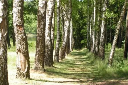 Bild: 20 Jahre Initiative Jugendarbeit Neuruppin e.V. (IJN) Pilgerwanderung zum Hotel am Birkenhain