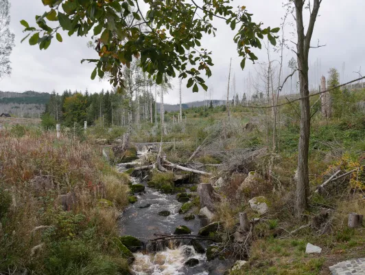 Studierende der Johannes Gutenberg-Universität Mainz leisten Friedensarbeit Bild: Studierende der Johannes Gutenberg-Universität Mainz leisten Friedensarbeit