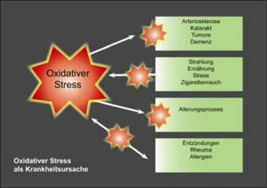 Oxidativer Stress als Krankheitsursache (Bildquelle: VISION Druckmedien)