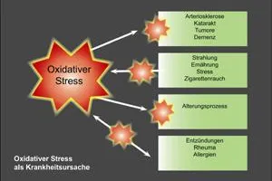 Bild: Im Fokus: Die Vitamine ACE