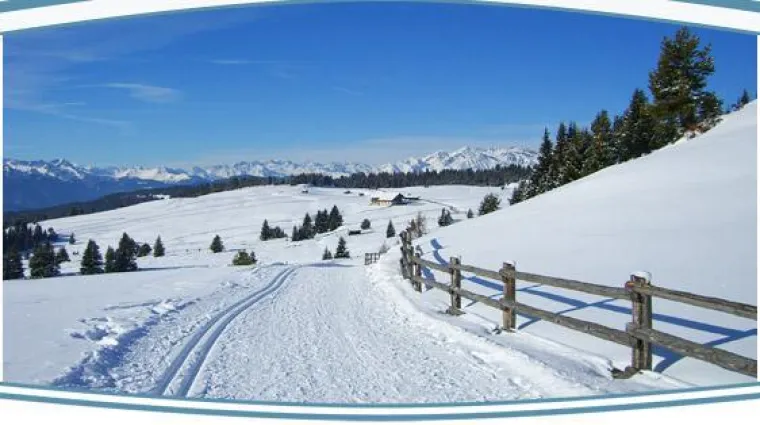 Bild: Wandern in Südtirol - Bergidyllhotel Tratterhof ****