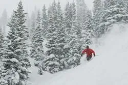 Bild: Weihnachtssturm bringt Pulverschnee