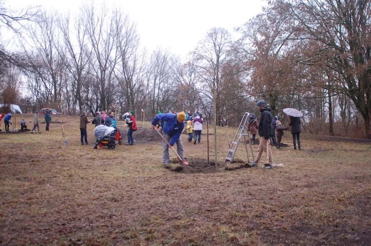 Erste Pflanzaktion in Berlin Pankow