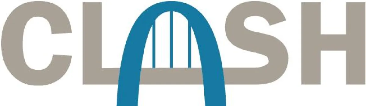 Firmenlogo: CLASH Consulting