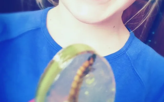 Bild: Essbare Insekten als Geschäftsmodell: Wie aus einer ungewöhnlichen Idee ein Unternehmen entstand