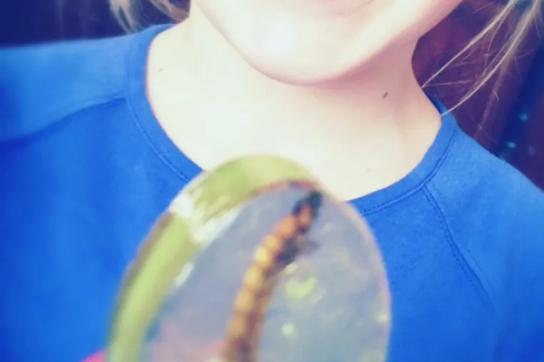 Bild: Essbare Insekten als Geschäftsmodell: Wie aus einer ungewöhnlichen Idee ein Unternehmen entstand